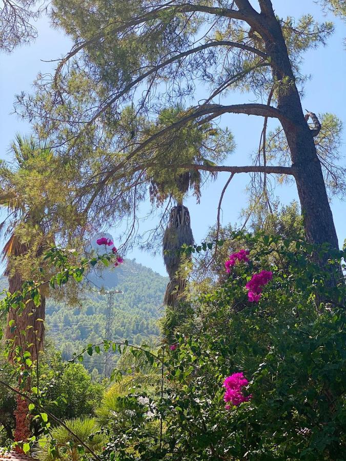 Hotel El Botanico De Sagra Extérieur photo