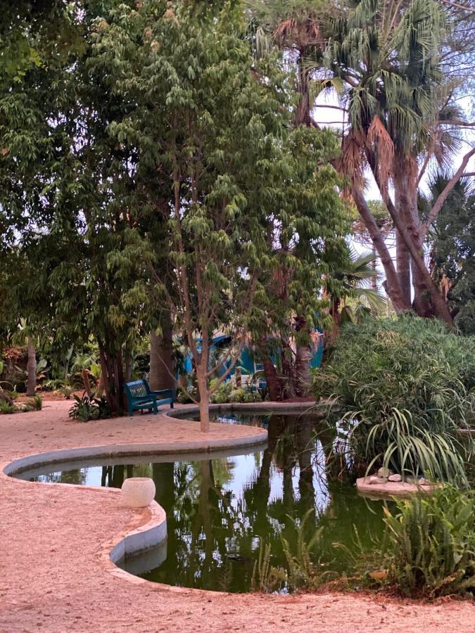 Hotel El Botanico De Sagra Extérieur photo