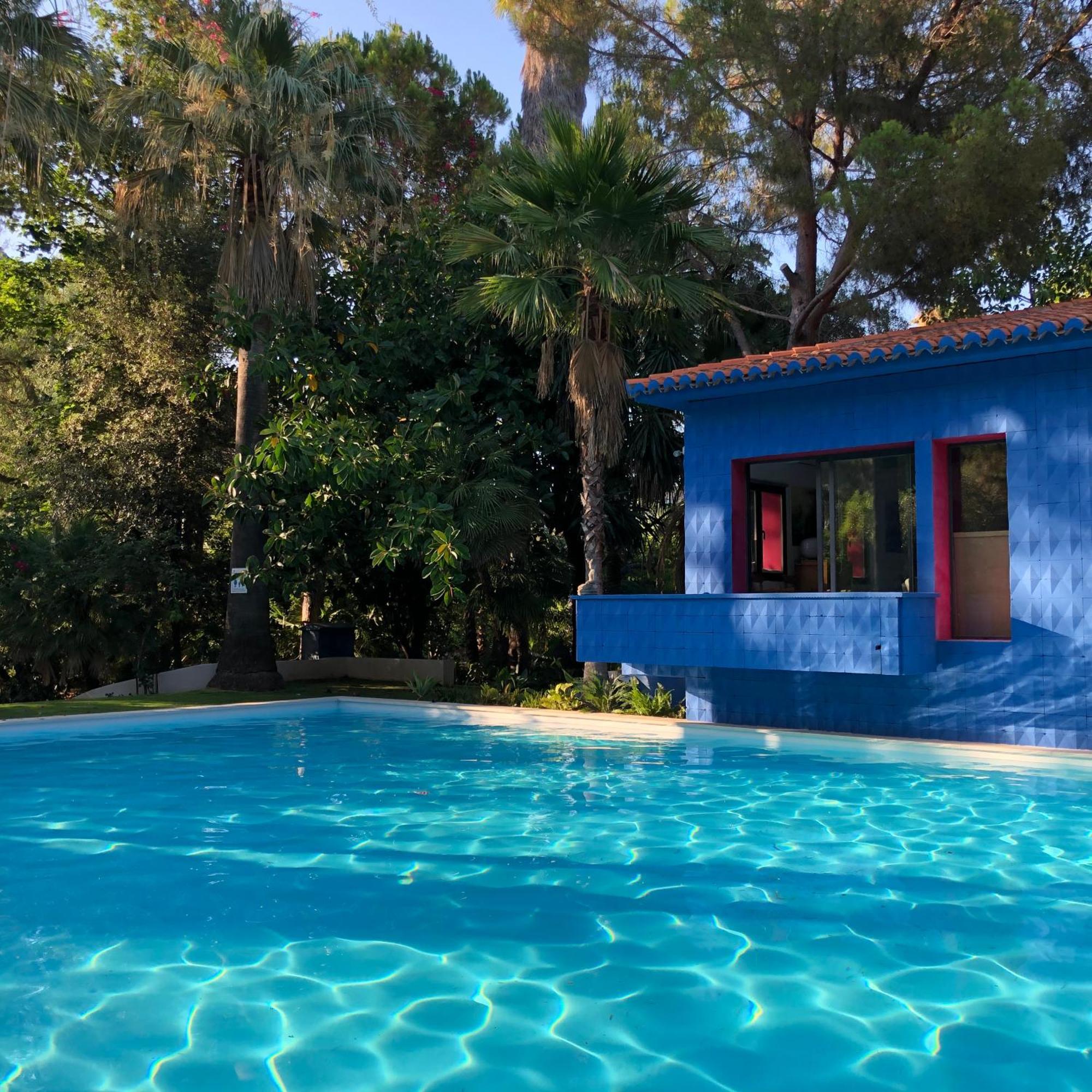 Hotel El Botanico De Sagra Extérieur photo