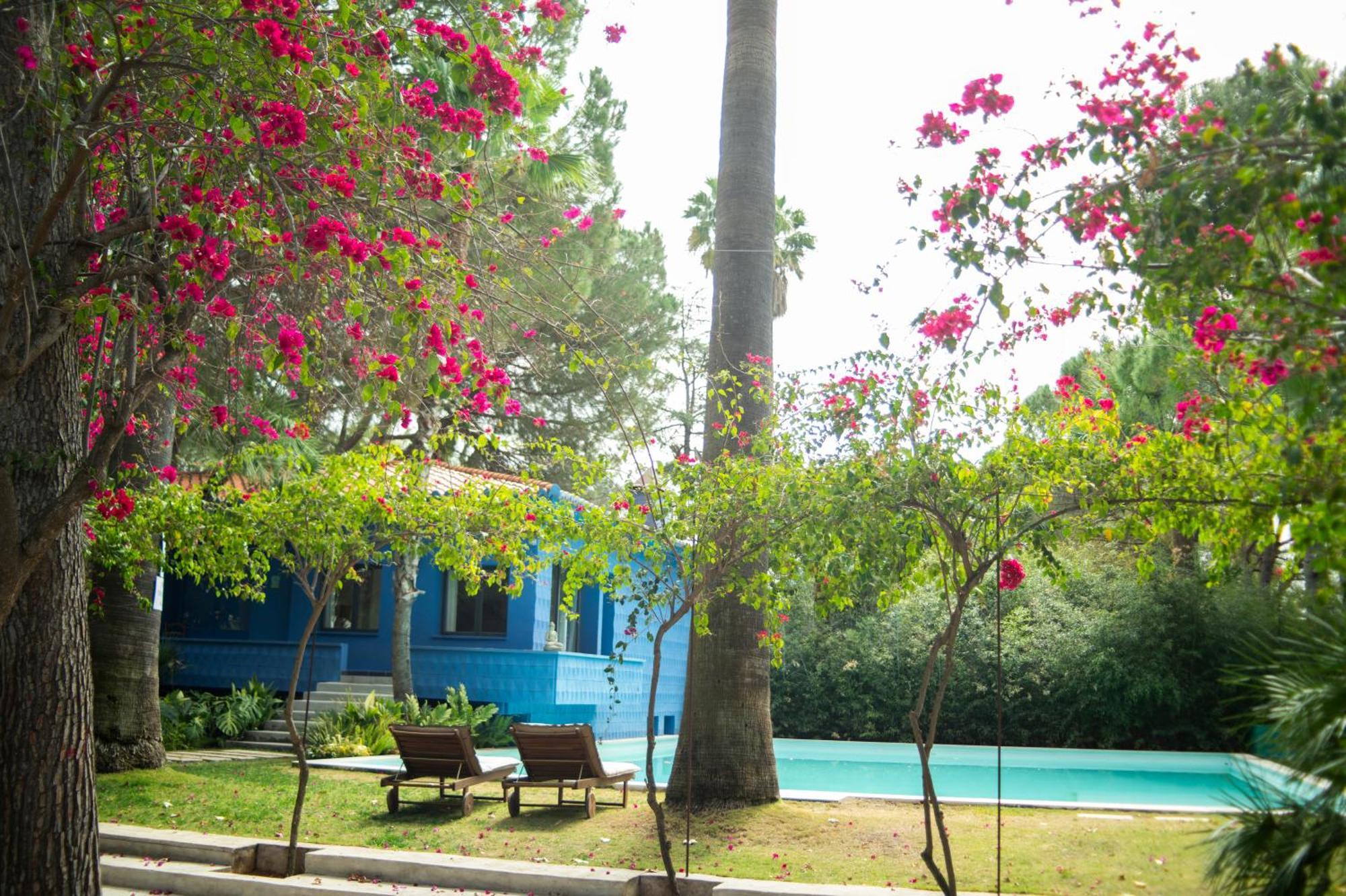 Hotel El Botanico De Sagra Extérieur photo