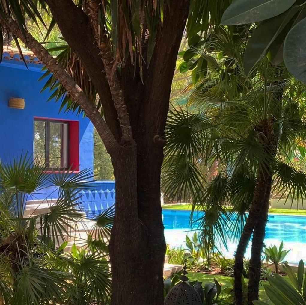 Hotel El Botanico De Sagra Extérieur photo