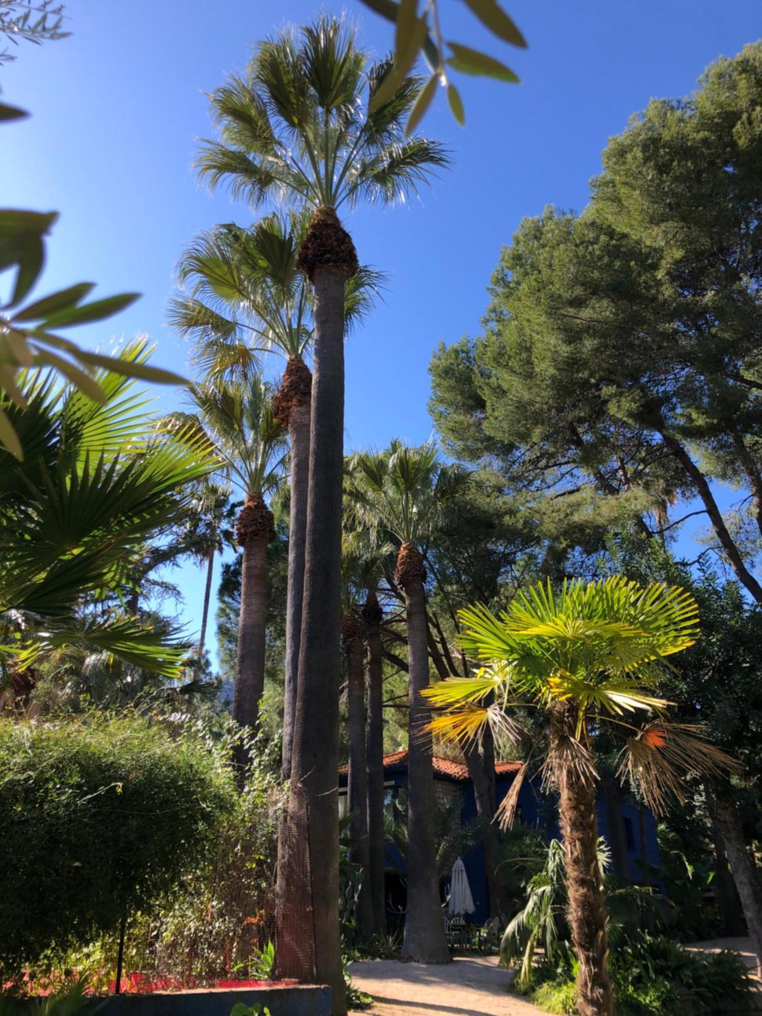 Hotel El Botanico De Sagra Extérieur photo