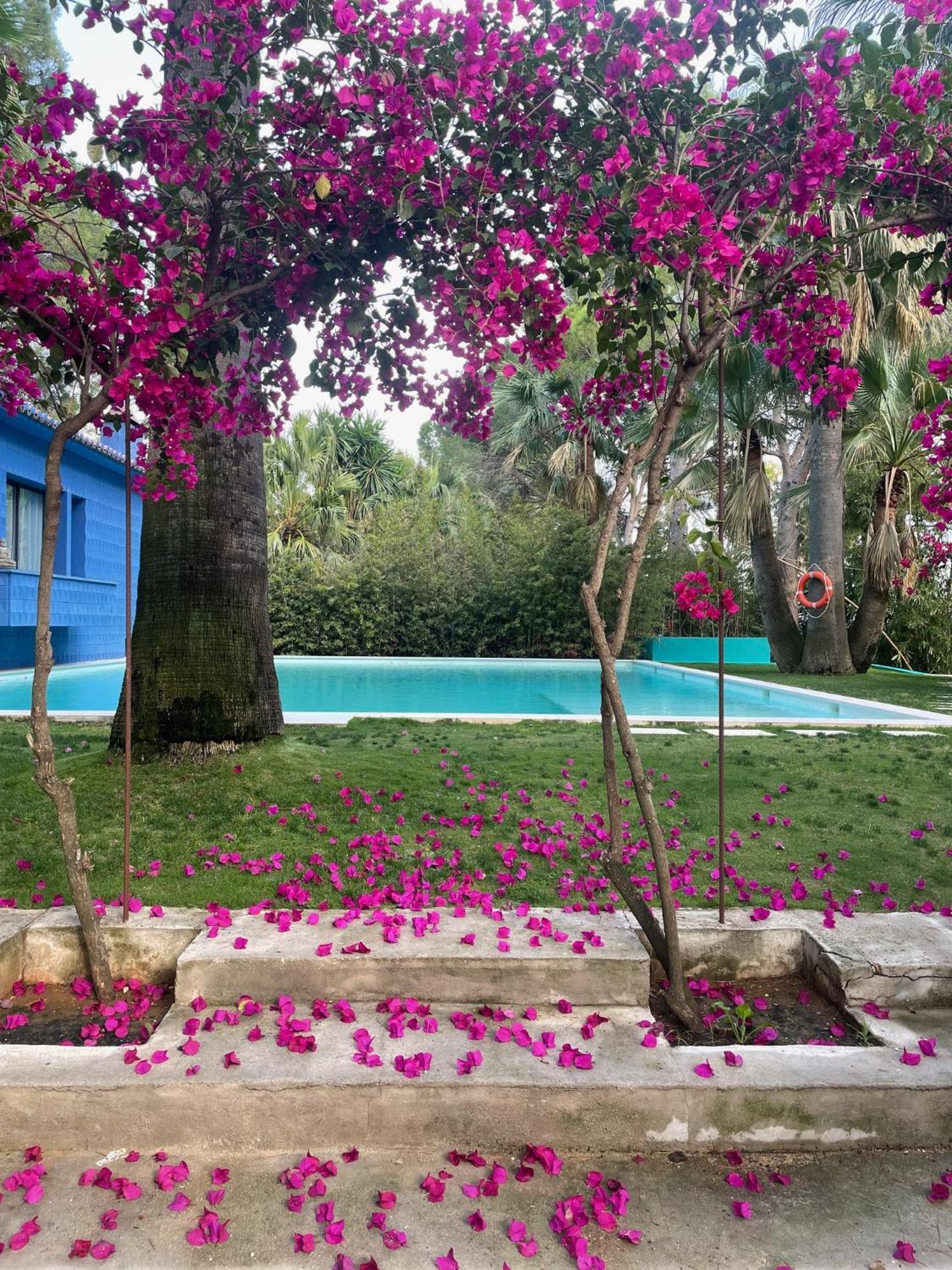 Hotel El Botanico De Sagra Extérieur photo